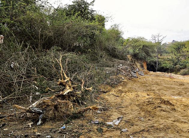 The NCR Planning Board said that since 2005, the entire Aravalli hills region has been a natural conservation zone (NCZ) with a construction cap of 0.5%.(Parveen Kumar/HT FILE) The NCR Planning Board said that since 2005, the entire Aravalli hills region has been a natural conservation zone (NCZ) with a construction cap of 0.5%.(Parveen Kumar/HT FILE)
