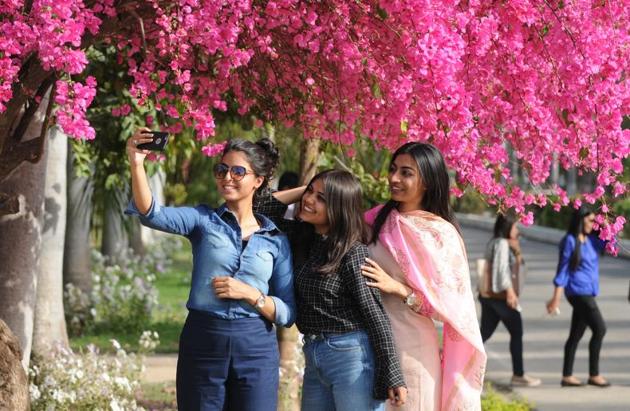 The fall/spring season is upon Chandigarh, and the residents can’t get enough of it! (Anil Dayal/HT)