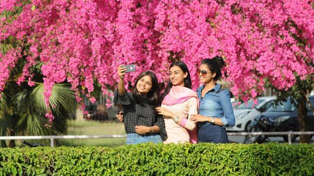 At Panjab University amid the colours of spring, in Chandigarh. (Anil Dayal/HT)