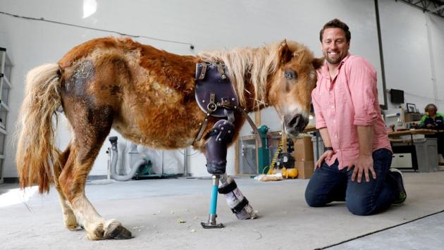 Derrick Campana kneels beside Angel Marie, a three legged mini horse. (Kevin Lamarque / Reuters) 