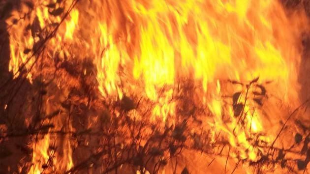 A Dalit woman was on Tuesday burnt alive for allegedly practising witchcraft in Bihar’s Purnea district.(HT File/ Representational Photo)