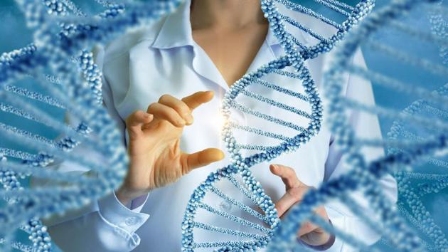 Genes shape the anatomy and functional organisation of the brain.(Shutterstock) Genes shape the anatomy and functional organisation of the brain.(Shutterstock)