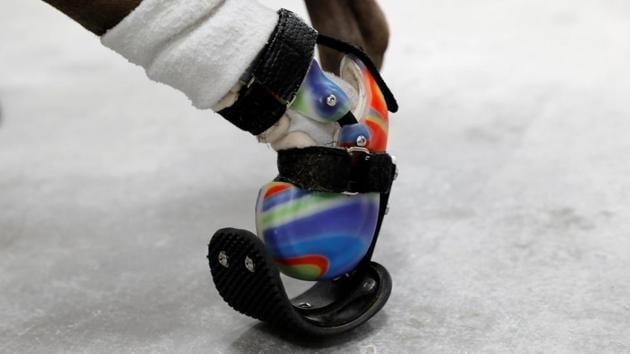 Hudson, a pitbull mix with an amputated paw, wears a prosthetic paw made by Derrick Campana . (Kevin Lamarque / Reuters) 