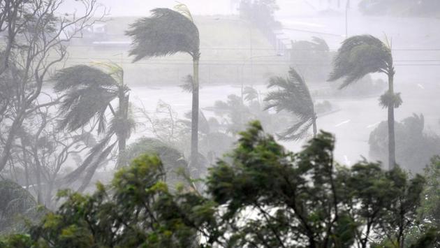 Strong wind and rain from Cyclone Debbie is seen effecting trees at Airlie Beach, located south of the northern Australian city of Townsville. (AAP/Dan Peled/via REUTERS) Strong wind and rain from Cyclone Debbie is seen effecting trees at Airlie Beach, located south of the northern Australian city of Townsville. (AAP/Dan Peled/via REUTERS)