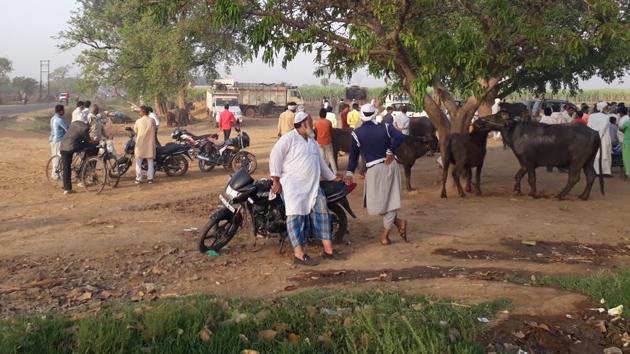 UP’s weekly cattle markets, including Dhanaura in Bulandshahr, have seen a drastic fall in business.(HT Photo/Gulam Jeelani) UP’s weekly cattle markets, including Dhanaura in Bulandshahr, have seen a drastic fall in business.(HT Photo/Gulam Jeelani)