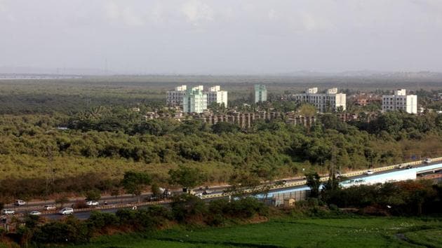 The restored mangroves at Vikhroli.(HT)