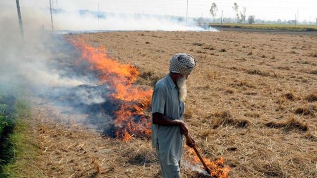 Despite the ban, farmers continue burning paddy stubble in the state.(HT File Photo)
