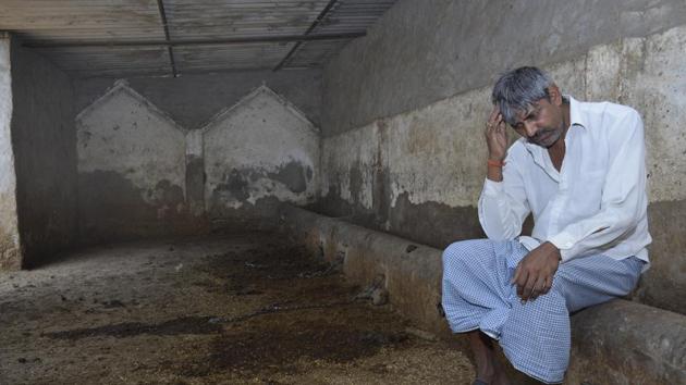 Shyam Singh, whose nine bovines were stolen by rustlers, says he has no livelihood left. (Sakib Ali/HT Photo) Shyam Singh, whose nine bovines were stolen by rustlers, says he has no livelihood left. (Sakib Ali/HT Photo)