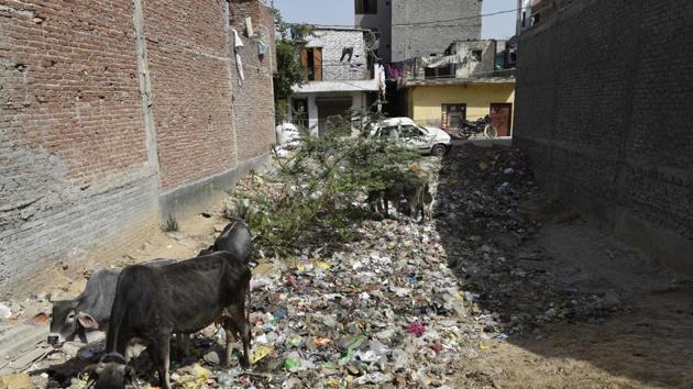 Every lane and bylane of these illegal colonies are storehouses of garbage, which accumulate for weeks. The residents say that for the corporation, Swachh Bharat Abhiyan did not exist.(Saumya Khandelwal/HT PHOTO)