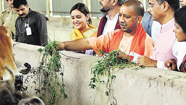 UP chief minister Yogi Adityanath feeds cows flanked by Mulayam Singh Yadav's daughter-in -law Aparna Yadav and deputy CM Dinesh Sharma during his visit to Kanha Upvan on Friday. (Deepak Gupta/ Hindustan Times) UP chief minister Yogi Adityanath feeds cows flanked by Mulayam Singh Yadav's daughter-in -law Aparna Yadav and deputy CM Dinesh Sharma during his visit to Kanha Upvan on Friday. (Deepak Gupta/ Hindustan Times)