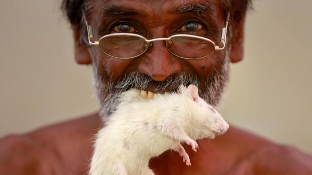 A farmer from the southern state of Tamil Nadu poses as he bites a rat during a protest demanding a drought-relief package from the federal government, in New Delhi, India on March 27, 2017. (Cathal McNaughton/REUTERS)