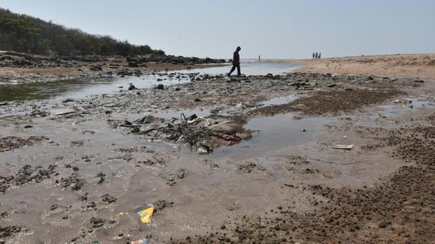 The waste from Malvani nullah ends up in the sea near Aksa beach. (Pratham Gokhale/HT Photo)