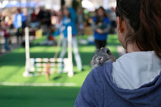 A woman holds her rabbit after an obstacle course. (RADEK MICA / AFP)