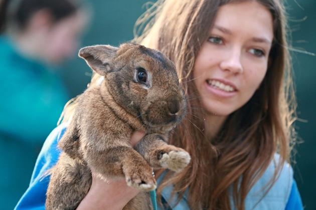 A girl holds her rabbit as she watches a rabbit track and field competition. (RADEK MICA / AFP)