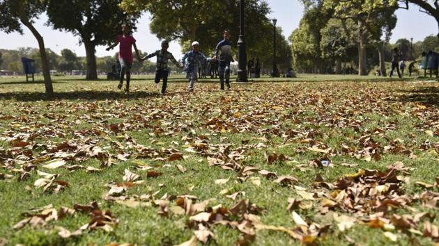 Spring in Delhi starts in the last week of February till the second week of April. (Sushil Kumar/HT PHOTO)