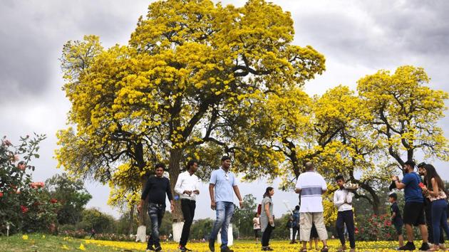 At the Rose Garden on a cloudy day in Chandigarh on Tuesday, April 4. (Karun Sharma/HT)