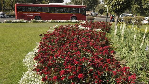 Spring season in Chandigarh. (Karun Sharma/HT)