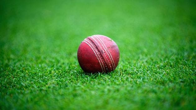 Adam King had played for Paraparaumu Cricket Club since 2011 and had represented Horowhenua-Kapiti in New Zealand’s Hawke Cup competition in 2013 and 2016 (Getty Images) Adam King had played for Paraparaumu Cricket Club since 2011 and had represented Horowhenua-Kapiti in New Zealand’s Hawke Cup competition in 2013 and 2016 (Getty Images)