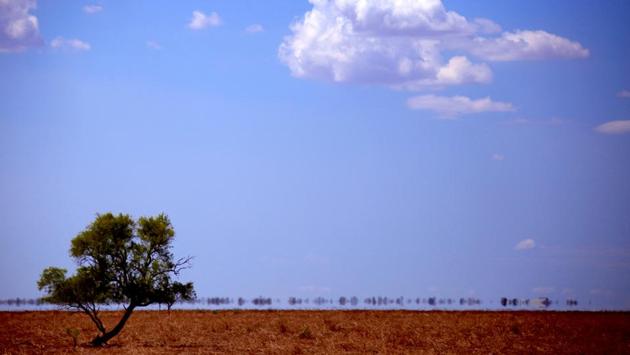 Heat haze can be seen in a paddock on May McKeown's property. In her spare time, McKeown enjoys writing poetry about life on the northwest plains. (David Gray/REUTERS) Heat haze can be seen in a paddock on May McKeown's property. In her spare time, McKeown enjoys writing poetry about life on the northwest plains. (David Gray/REUTERS)