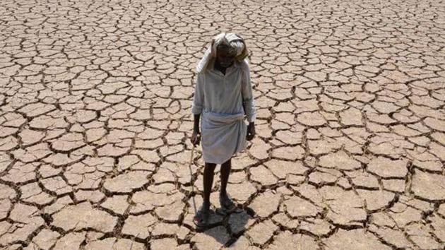 Loans of farmers are often waived after their crops are wasted in natural calamities like drought or floods. But studies show that loan waiver can adversely impact farm production(AFP)