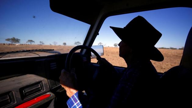 May McKeown drives her truck in a paddock as she prepares to hand-feed her cattle. Recent rains have brought some relief to an area hit by years of drought that forced McKeown to cut back her cattle herd and hand-feed the remaining animals. (David Gray/REUTERS) May McKeown drives her truck in a paddock as she prepares to hand-feed her cattle. Recent rains have brought some relief to an area hit by years of drought that forced McKeown to cut back her cattle herd and hand-feed the remaining animals. (David Gray/REUTERS)