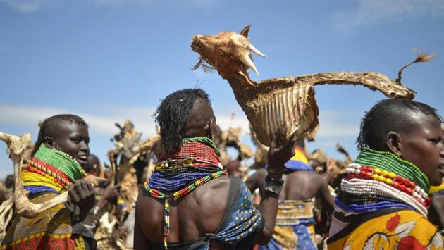Turkana woman hold and launch dead animals they lost due to a biting drought that has ravaged livestock population in nothern Kenya . (TONY KARUMBA / AFP) Turkana woman hold and launch dead animals they lost due to a biting drought that has ravaged livestock population in nothern Kenya . (TONY KARUMBA / AFP)