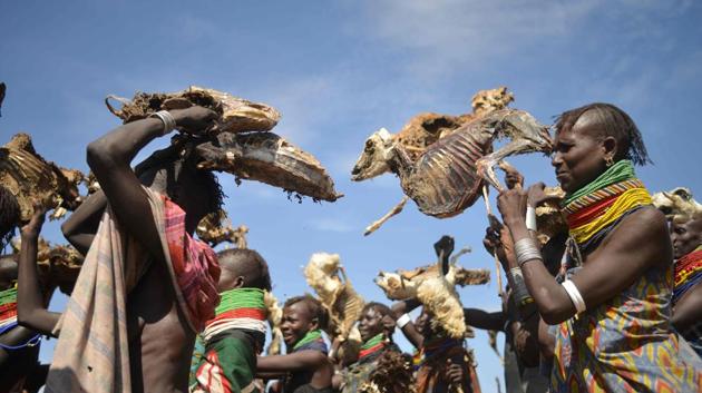 Turkana women carry dead animals they lost due to a biting drought that has ravaged livestock population in nothern Kenya near Lokitaung in Turkana. (TONY KARUMBA / AFP) Turkana women carry dead animals they lost due to a biting drought that has ravaged livestock population in nothern Kenya near Lokitaung in Turkana. (TONY KARUMBA / AFP)