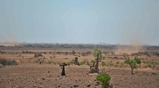 A Turkana woman carries firewood. Kenya has declared this year’s drought a ‘national disaster’ and appealed for international aid. (TONY KARUMBA / AFP) A Turkana woman carries firewood. Kenya has declared this year’s drought a ‘national disaster’ and appealed for international aid. (TONY KARUMBA / AFP)
