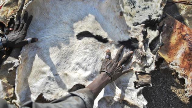 A Turkana woman lays out hides skinned from animals she lost due to a biting drought. (TONY KARUMBA / AFP) A Turkana woman lays out hides skinned from animals she lost due to a biting drought. (TONY KARUMBA / AFP)