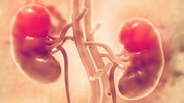 The study found that compared to participants with the highest levels of daily ammonium excretion, those with the lowest levels had a 46 % higher risk of dying or needing dialysis. (Shutterstock) The study found that compared to participants with the highest levels of daily ammonium excretion, those with the lowest levels had a 46 % higher risk of dying or needing dialysis. (Shutterstock)