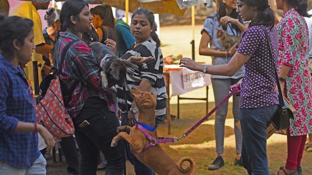 I’ve got a bone to pick with you. (Pratik Chorge/HT Photo) 