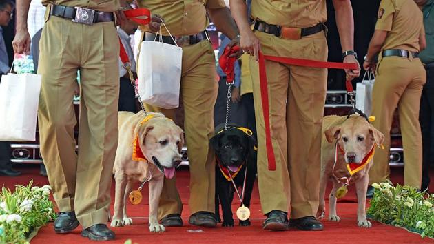 These three dogs were given lifetime achievements.  (Pratik Chorge/HT Photo) 