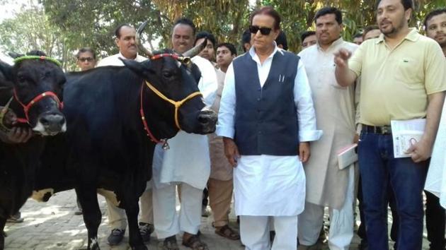SP leader Azam Khan with the pair of cows that was presented to him by Adhokshanand Maharaj of Goverdhan.(HT photo)