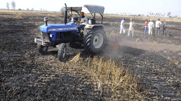 The fire occurred due to short circuit in loose electric wire connections passing over the standing wheat crop. (Bharat Bhushan /HT)