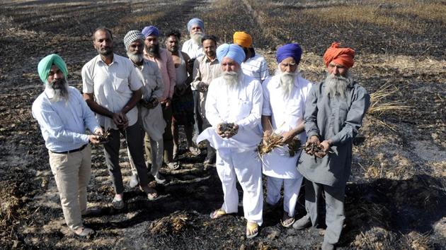 The farmers now demand adequate compensation from the state government and also want an action against the erring officials for ignoring their repeated pleas. (Bharat Bhushan /HT)
