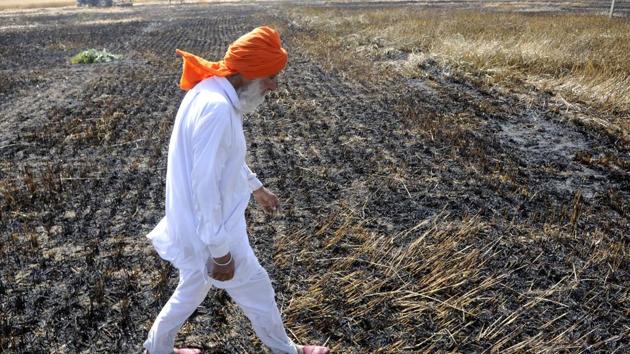 Over 200 acre wheat crop was gutted at two villages in Patiala — Kathgarh Channa and Khagta Kalan — on Monday. (Bharat Bhushan /HT)