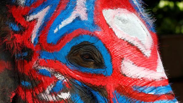 An elephant painted blue and red celebration for the water festival in Ayutthaya province, north of Bangkok, Thailand. (REUTERS)