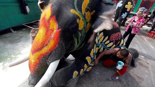 A Thai mahout paints an elephant in celebration of the Songkran water festival. (Chaiwat Subprasom / Reuters)