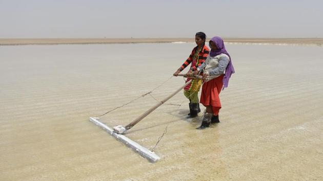 Salt pan workers from the Agariya community, Puja Ganeshbhai Muladiya (L) along with her mother Devuben working in a salt pan in the Little Rann of Kutch. India is ranked third in gross amount of salt produced in the world, behind China and the United States, and the western state of Gujarat accounts for 77 percent of India's production. (AFP)