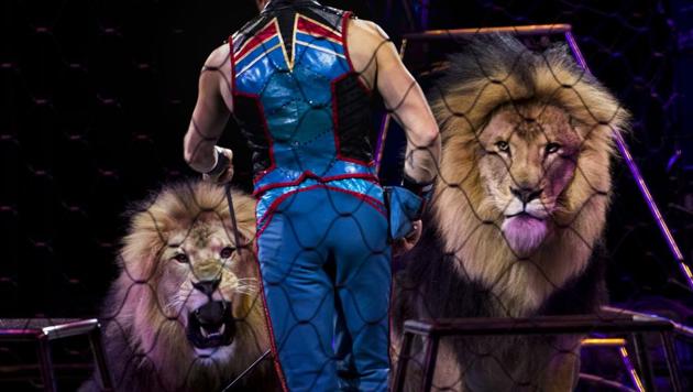 After 146 years of entertaining throngs across the country, the Ringling Bros. and Barnum & Bailey Circus has decided to end its travelling showcase after this farewell tour. The circus’ final show is scheduled for May 21 in Uniondale, New York. (Doug Mills / NYT) After 146 years of entertaining throngs across the country, the Ringling Bros. and Barnum & Bailey Circus has decided to end its travelling showcase after this farewell tour. The circus’ final show is scheduled for May 21 in Uniondale, New York. (Doug Mills / NYT)