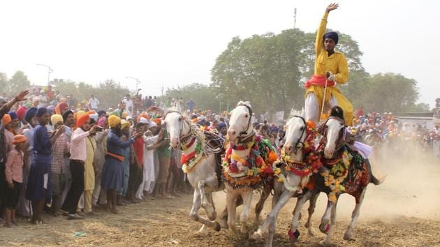 Nihang performing martial stunts riding on horses during a Baisakhi Mohalla festival at Talwandi Sabo near Bathinda. (Sanjeev Kumar/ht photo)
