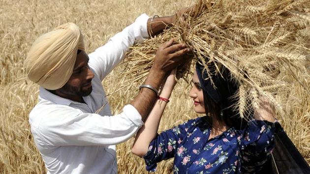 College students enact traditional harvest scenes on the eve of Baisakhi in a wheat field on Sirhind Road in Patiala on Wednesday, April 12. (Bharat Bhushan/HT)