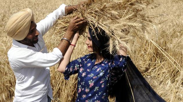 College students enact traditional harvest scenes on the eve of Baisakhi in a wheat field on Sirhind Road in Patiala on Wednesday, April 12. (Bharat Bhushan/HT)
