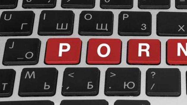 The Internet Service Providers Association of India (ISPAI) has now decided to approach the communications ministry to seek clarification on the definition of pornography and child pornography and the parameters that violate it. (Shutterstock)(Representative image)