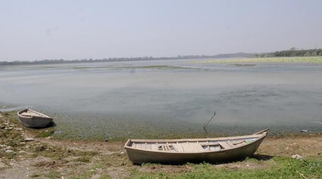 A drying up Sukhna Lake bed on Friday(Karun Sharma/HT Photo) A drying up Sukhna Lake bed on Friday(Karun Sharma/HT Photo)