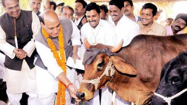 The Vishwa Hindu Parishad on Sunday said that it is capable of imposing a total ban on cow slaughter and consumption of beef in Goa in next couple of years, without the government’s help. (PTI Representative Photo) The Vishwa Hindu Parishad on Sunday said that it is capable of imposing a total ban on cow slaughter and consumption of beef in Goa in next couple of years, without the government’s help. (PTI Representative Photo)