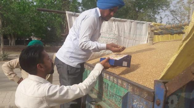 The moisture content in the crop being measured at the gate of the grain market in Mansa.(HT Photo)