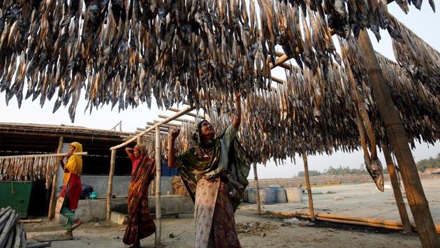Bangladeshi women work in a dry fish processing yard in Cox's Bazar, Bangladesh April 13, 2017. (Mohammad Ponir Hossain / REUTERS)