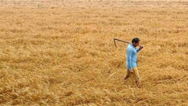 The dispute between the SGPC and local villagers is over the ownership of 98 acres of land which also includes the historic gurdwara of Soolisar Sahib in Kotdharmu village.(HT File)