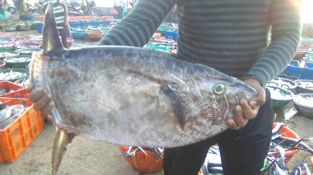 The sunfish brought to Crawford market in south Mumbai.(HT)